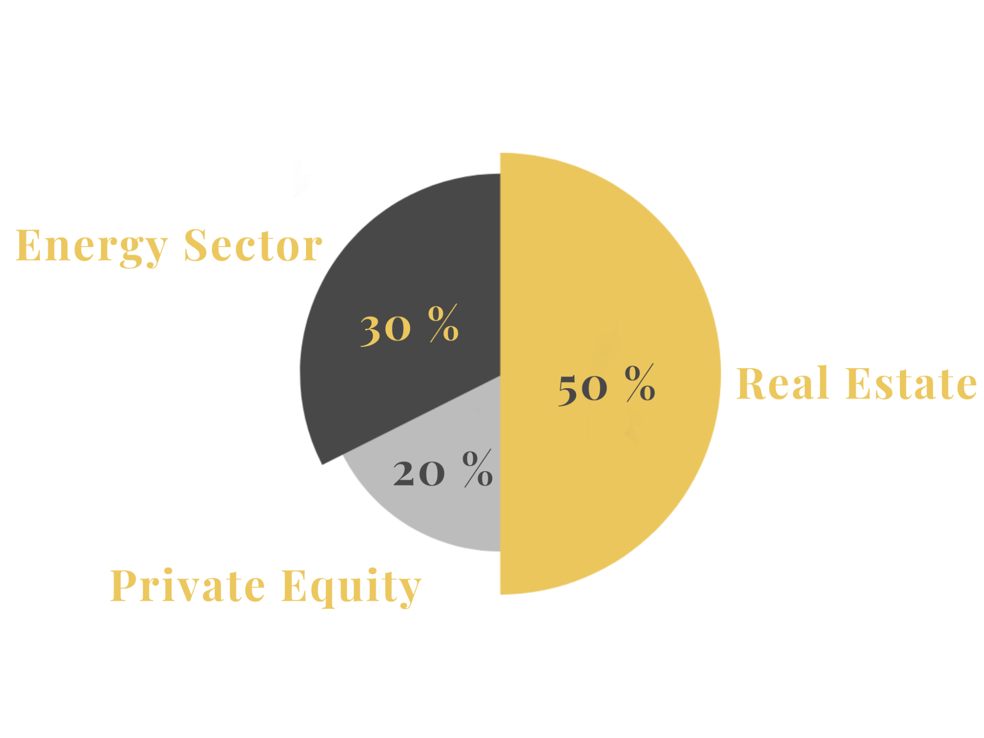 Composition of the investment portfolio of PRESTON Capital a.s.